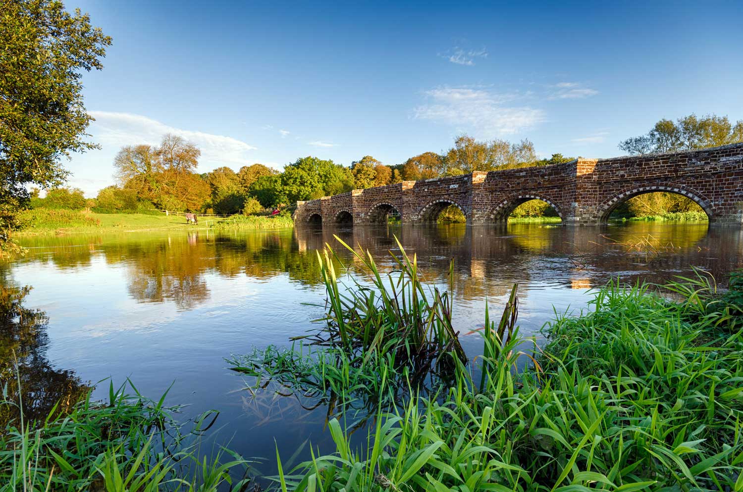 River Stour Wimborne